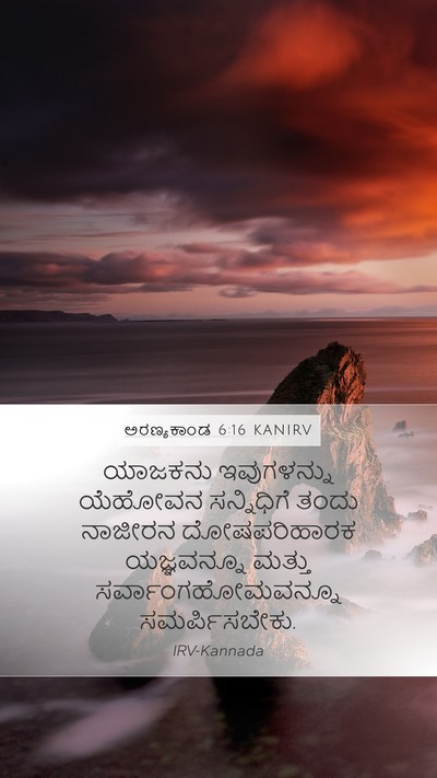 ಅರಣ್ಯಕಾಂಡ 6:16 KANIRV Bible Verse Image