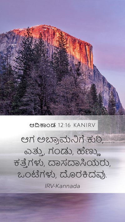 ಆದಿಕಾಂಡ 12:16 KANIRV Bible Verse Image