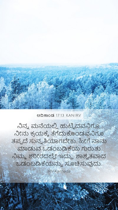 ಆದಿಕಾಂಡ 17:13 KANIRV Bible Verse Image