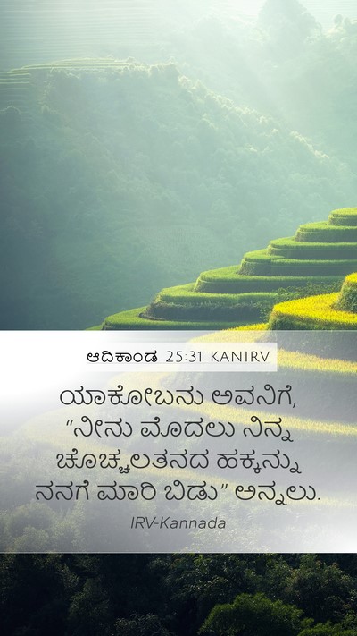 ಆದಿಕಾಂಡ 25:31 KANIRV Bible Verse Image