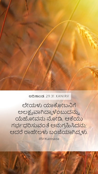 ಆದಿಕಾಂಡ 29:31 KANIRV Bible Verse Image
