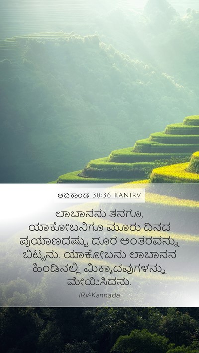 ಆದಿಕಾಂಡ 30:36 KANIRV Bible Verse Image