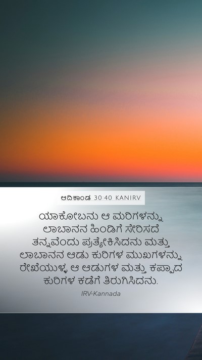 ಆದಿಕಾಂಡ 30:40 KANIRV Mobile Phone Wallpaper - ಯಾಕೋಬನು ಆ - Mobile Bible Verse Wallpaper