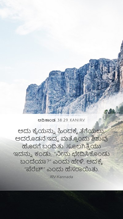 ಆದಿಕಾಂಡ 38:29 KANIRV Bible Verse Image