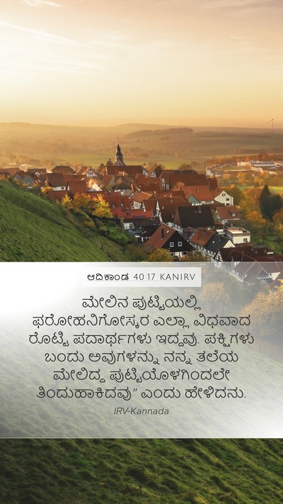 ಆದಿಕಾಂಡ 40:17 KANIRV Mobile Phone Wallpaper - ಮೇಲಿನ ಪುಟ್ಟಿಯಲ್ಲಿ - Mobile Bible Verse Wallpaper