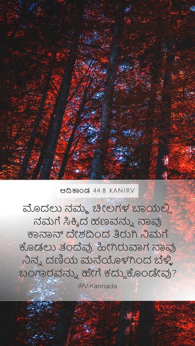 ಆದಿಕಾಂಡ 44:8 KANIRV Mobile Phone Wallpaper - ಮೊದಲು ನಮ್ಮ ಚೀಲಗಳ - Mobile Bible Verse Wallpaper