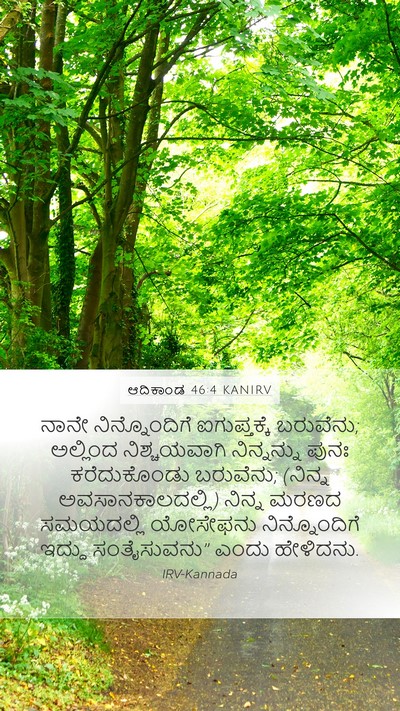 ಆದಿಕಾಂಡ 46:4 KANIRV Bible Verse Image