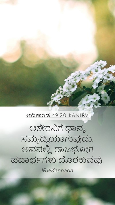 ಆದಿಕಾಂಡ 49:20 KANIRV Bible Verse Image