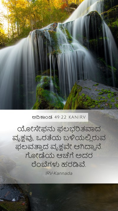 ಆದಿಕಾಂಡ 49:22 KANIRV Bible Verse Image