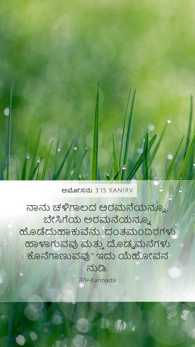 ಆಮೋಸನು 3:15 KANIRV Bible Verse Image