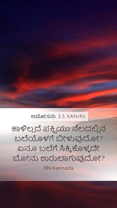ಆಮೋಸನು 3:5 KANIRV Bible Verse Image