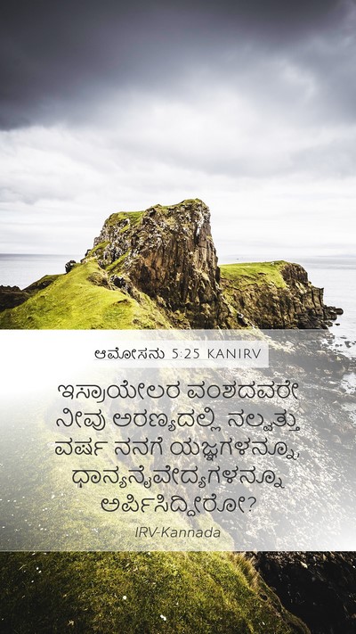ಆಮೋಸನು 5:25 KANIRV Bible Verse Image
