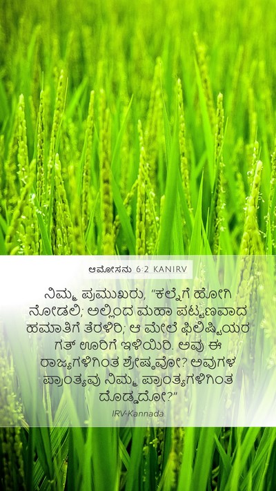 ಆಮೋಸನು 6:2 KANIRV Bible Verse Image