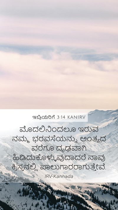 ಇಬ್ರಿಯರಿಗೆ 3:14 KANIRV Bible Verse Image