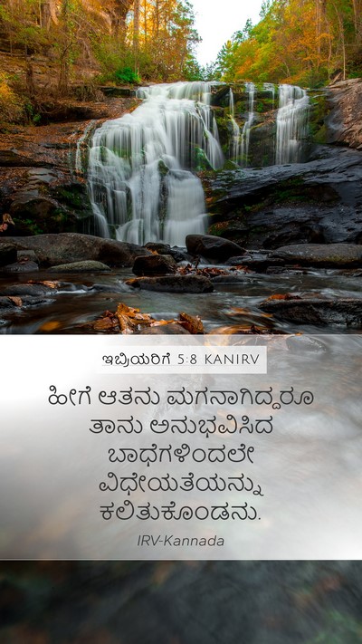 ಇಬ್ರಿಯರಿಗೆ 5:8 KANIRV Bible Verse Image