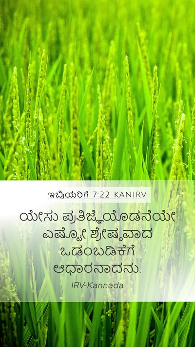 ಇಬ್ರಿಯರಿಗೆ 7:22 KANIRV Bible Verse Image