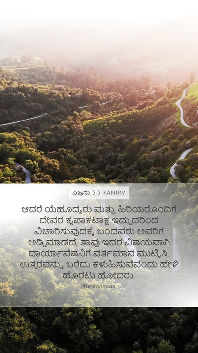 ಎಜ್ರನು 5:5 KANIRV Bible Verse Image