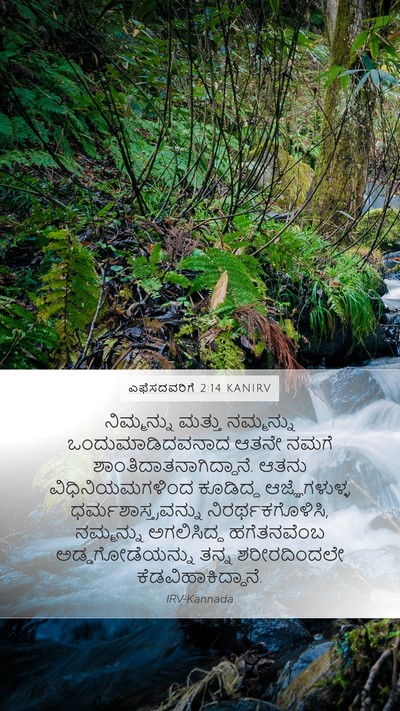 ಎಫೆಸದವರಿಗೆ 2:14 KANIRV Bible Verse Image
