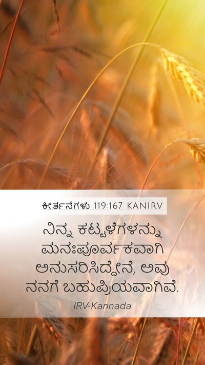 ಕೀರ್ತನೆಗಳು 119:167 KANIRV Bible Verse Image