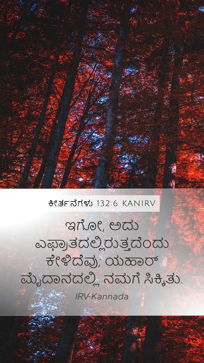 ಕೀರ್ತನೆಗಳು 132:6 KANIRV Bible Verse Image