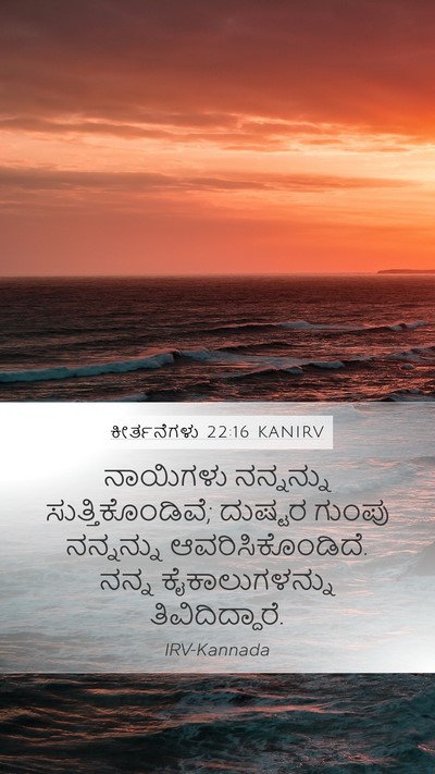 ಕೀರ್ತನೆಗಳು 22:16 KANIRV Bible Verse Image