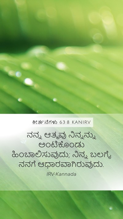 ಕೀರ್ತನೆಗಳು 63:8 KANIRV Bible Verse Image