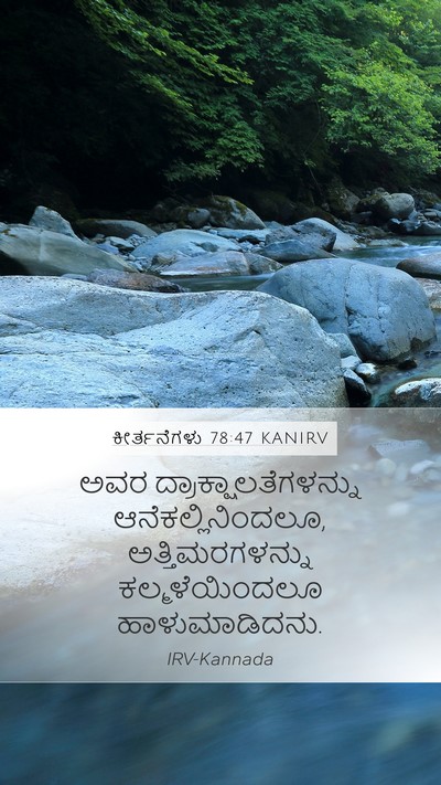 ಕೀರ್ತನೆಗಳು 78:47 KANIRV Bible Verse Image