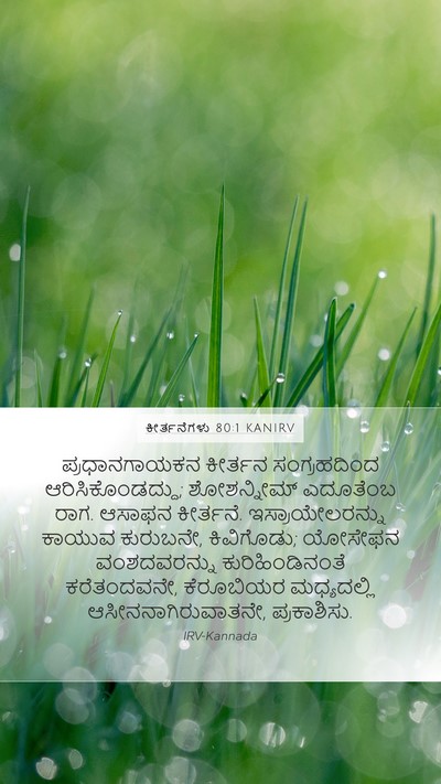 ಕೀರ್ತನೆಗಳು 80:1 KANIRV Bible Verse Image