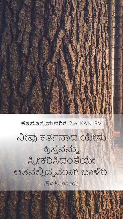 ಕೊಲೊಸ್ಸೆಯವರಿಗೆ 2:6 KANIRV Bible Verse Image
