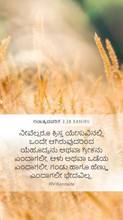 ಗಲಾತ್ಯದವರಿಗೆ 3:28 KANIRV Bible Verse Image