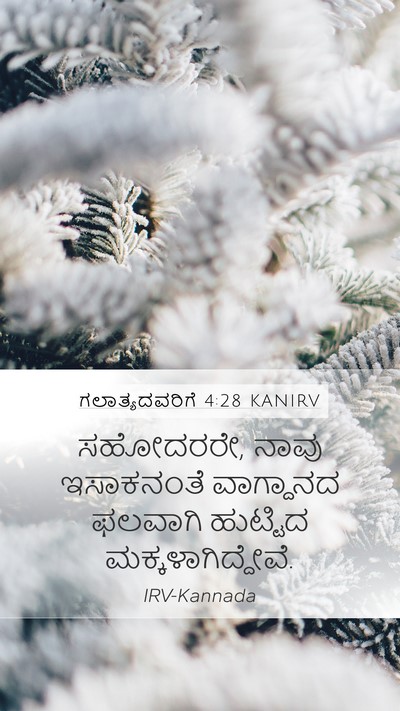 ಗಲಾತ್ಯದವರಿಗೆ 4:28 KANIRV Bible Verse Image