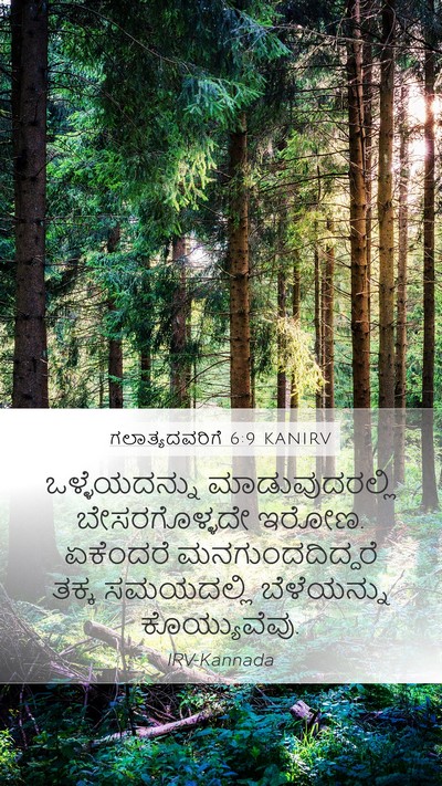 ಗಲಾತ್ಯದವರಿಗೆ 6:9 KANIRV Bible Verse Image
