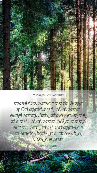 ಚೆಫನ್ಯನು 2:1 KANIRV Bible Verse Image