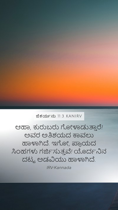 ಜೆಕರ್ಯನು 11:3 KANIRV Bible Verse Image