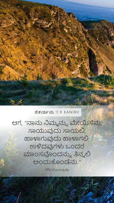 ಜೆಕರ್ಯನು 11:9 KANIRV Bible Verse Image