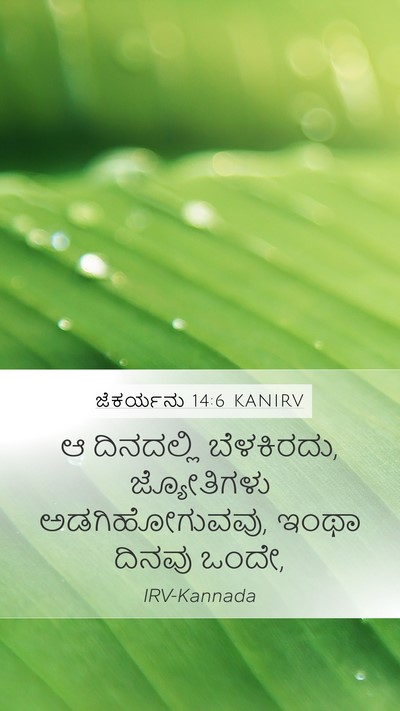 ಜೆಕರ್ಯನು 14:6 KANIRV Bible Verse Image