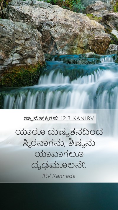 ಜ್ಞಾನೋಕ್ತಿಗಳು 12:3 KANIRV Bible Verse Image