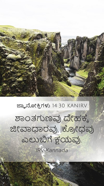 ಜ್ಞಾನೋಕ್ತಿಗಳು 14:30 KANIRV Bible Verse Image