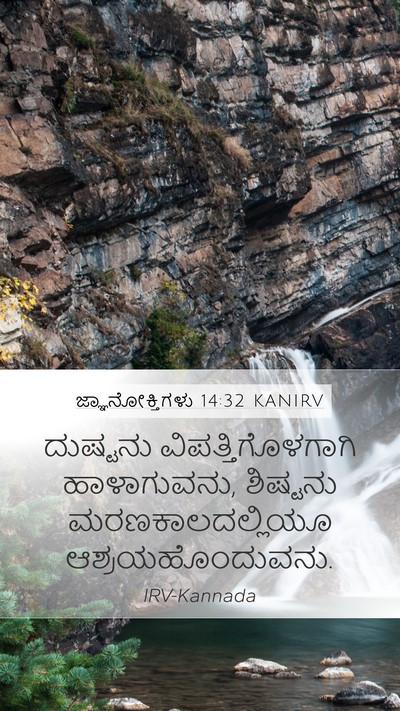 ಜ್ಞಾನೋಕ್ತಿಗಳು 14:32 KANIRV Bible Verse Image