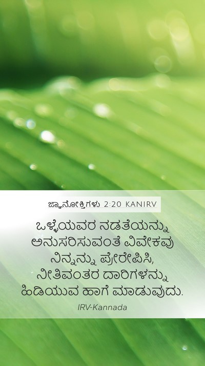 ಜ್ಞಾನೋಕ್ತಿಗಳು 2:20 KANIRV Bible Verse Image