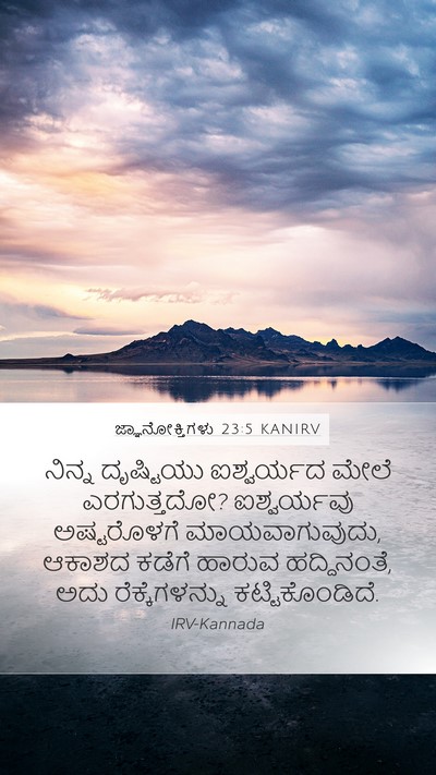 ಜ್ಞಾನೋಕ್ತಿಗಳು 23:5 KANIRV Bible Verse Image