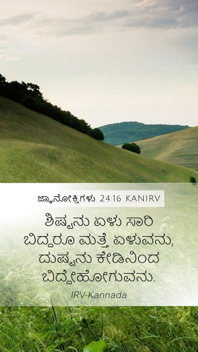 ಜ್ಞಾನೋಕ್ತಿಗಳು 24:16 KANIRV Mobile Phone Wallpaper - ಶಿಷ್ಟನು ಏಳು ಸಾರಿ - Mobile Bible Verse Wallpaper