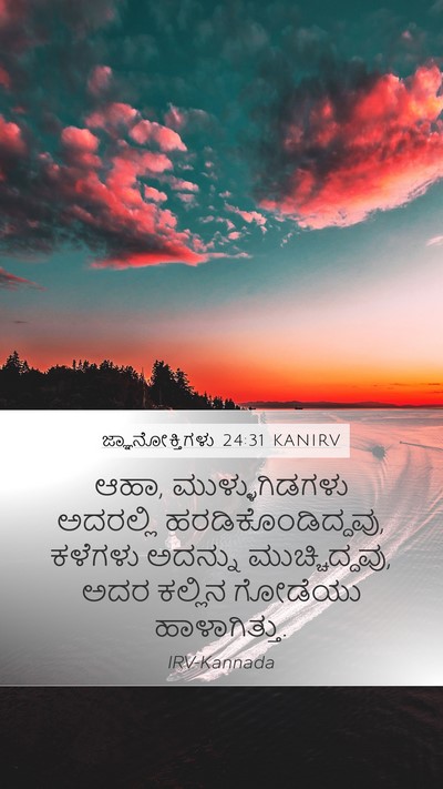 ಜ್ಞಾನೋಕ್ತಿಗಳು 24:31 KANIRV Mobile Phone Wallpaper - ಆಹಾ, ಮುಳ್ಳುಗಿಡಗಳು - Mobile Bible Verse Wallpaper