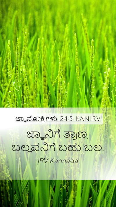 ಜ್ಞಾನೋಕ್ತಿಗಳು 24:5 KANIRV Bible Verse Image