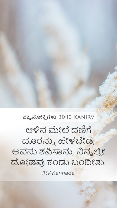 ಜ್ಞಾನೋಕ್ತಿಗಳು 30:10 KANIRV Bible Verse Image