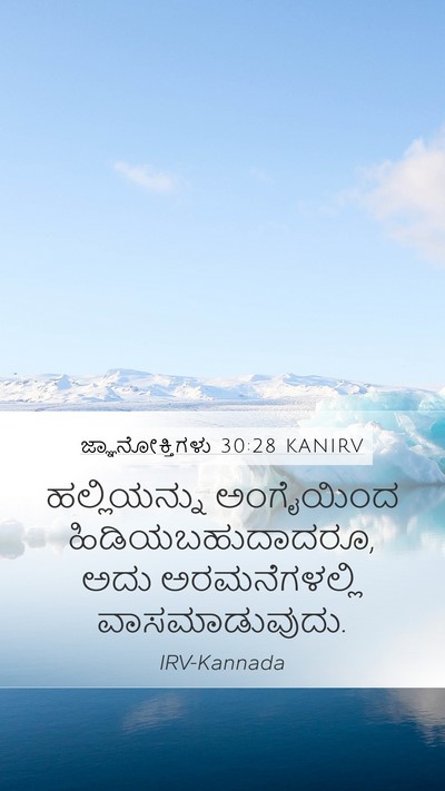ಜ್ಞಾನೋಕ್ತಿಗಳು 30:28 KANIRV Mobile Phone Wallpaper - ಹಲ್ಲಿಯನ್ನು - Mobile Bible Verse Wallpaper