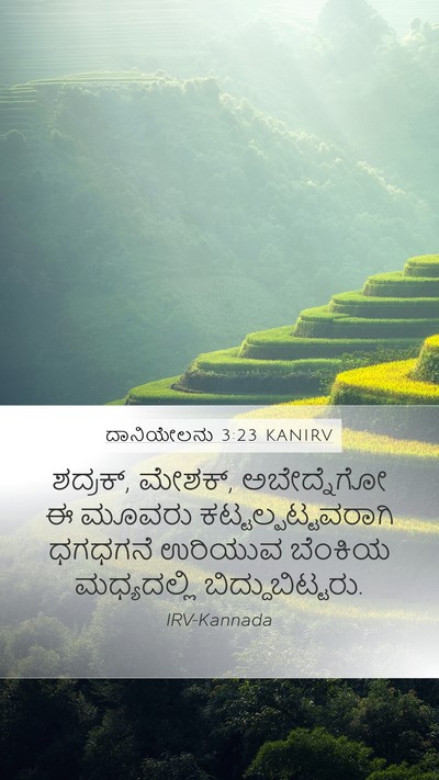 ದಾನಿಯೇಲನು 3:23 KANIRV Bible Verse Image
