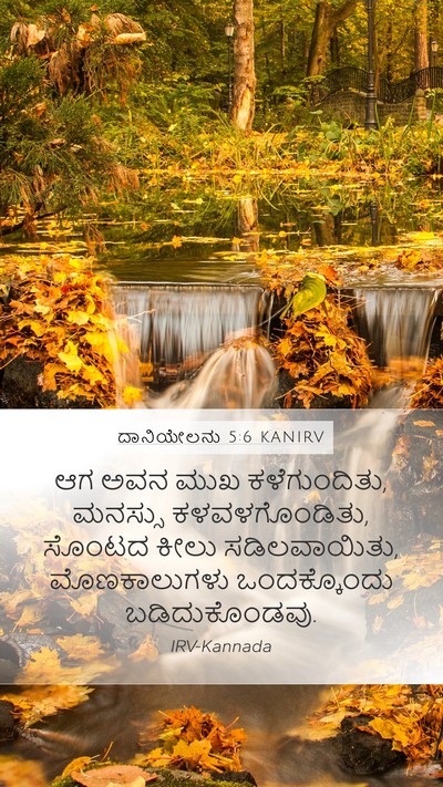 ದಾನಿಯೇಲನು 5:6 KANIRV Bible Verse Image