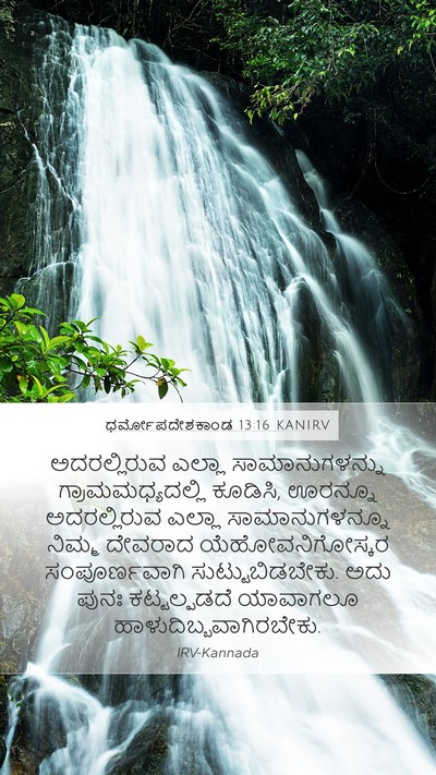 ಧರ್ಮೋಪದೇಶಕಾಂಡ 13:16 KANIRV Bible Verse Image