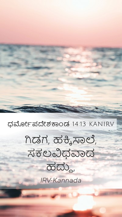 ಧರ್ಮೋಪದೇಶಕಾಂಡ 14:13 KANIRV Mobile Phone Wallpaper - ಗಿಡಗ, ಹಕ್ಕಿಸಾಲೆ, - Mobile Bible Verse Wallpaper